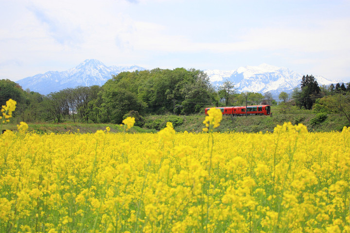 新着情報 : 【お知らせ】雪月花車内提供デザートの変更について